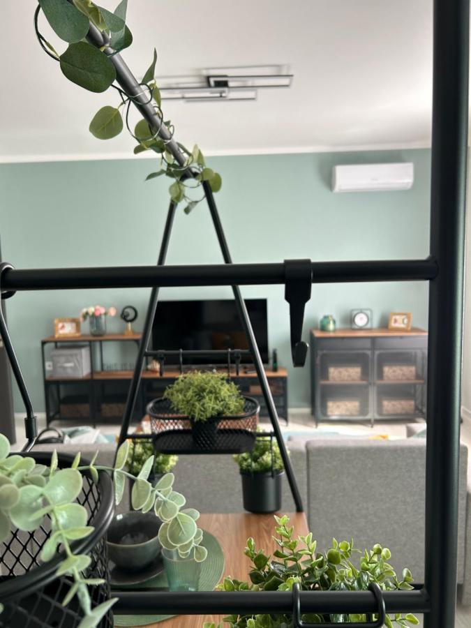 شقة Sophie'S Urban Nest ميسكولك المظهر الخارجي الصورة